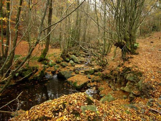 Chemin Babette Διαμέρισμα Stoumont Εξωτερικό φωτογραφία
